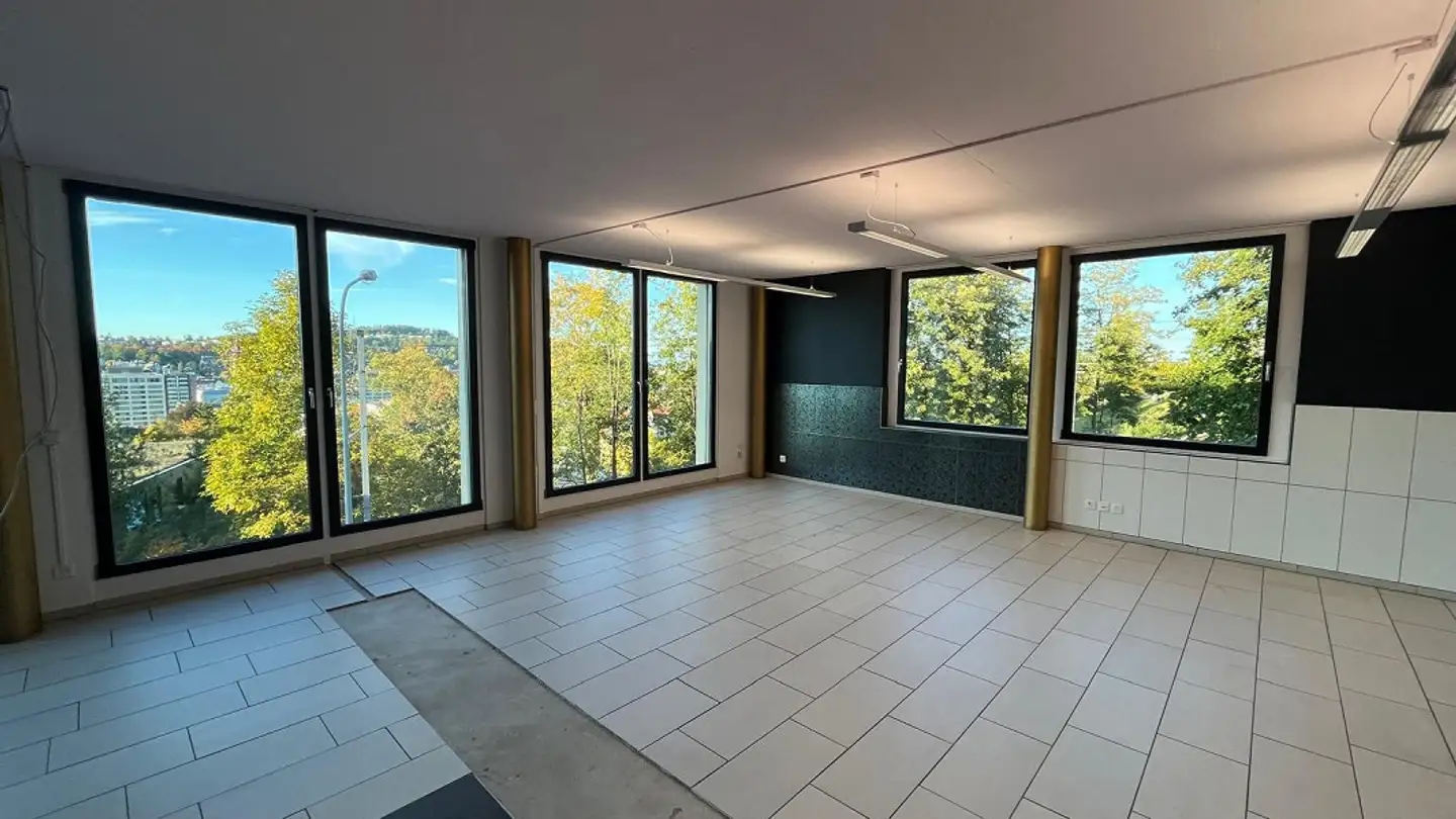 Commerciale in affitto - Speicherstrasse 60, 9000 St. Gallen - Foto 4