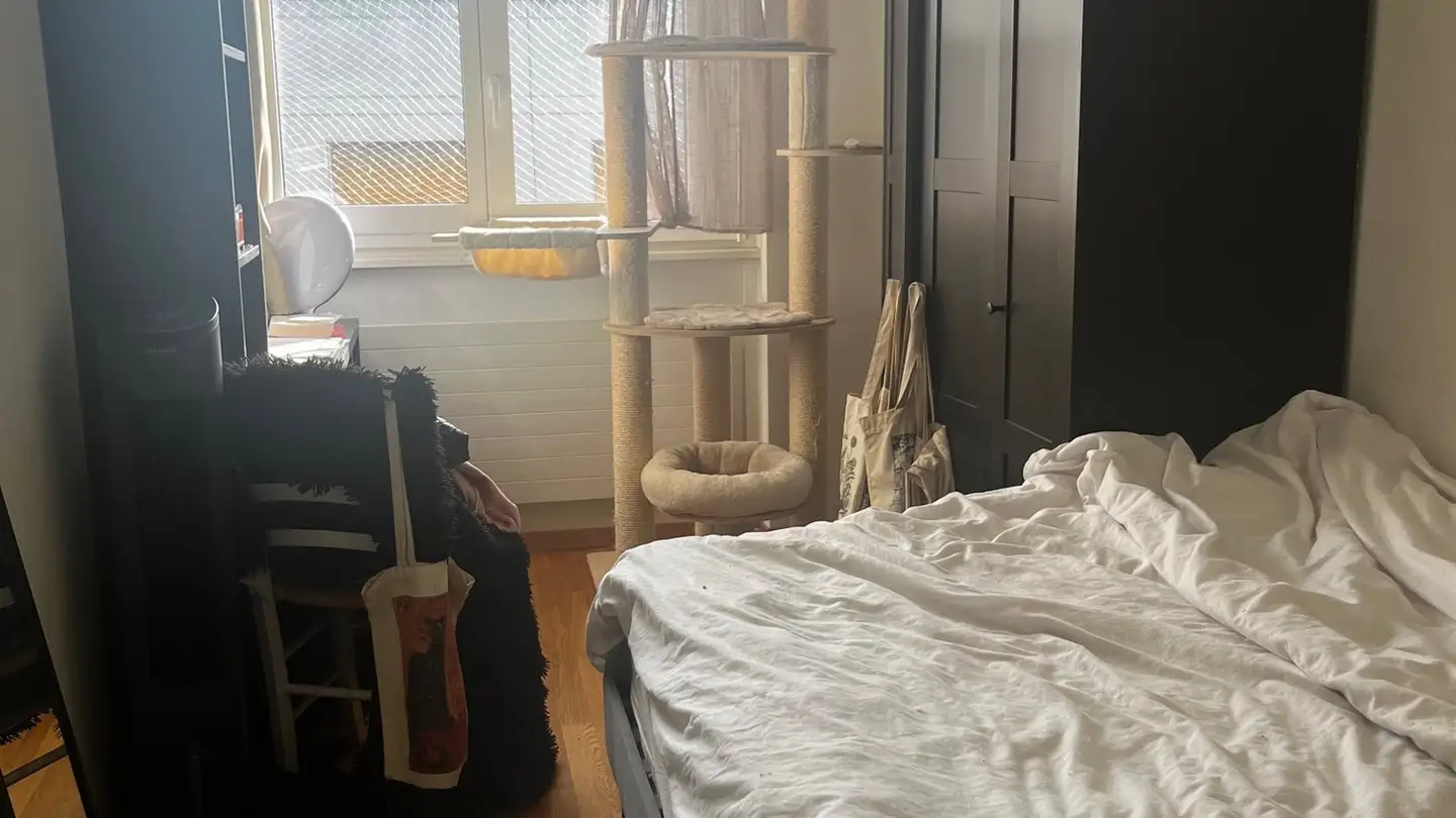 Stanza singola in affitto - 1205 Genève - Foto 3