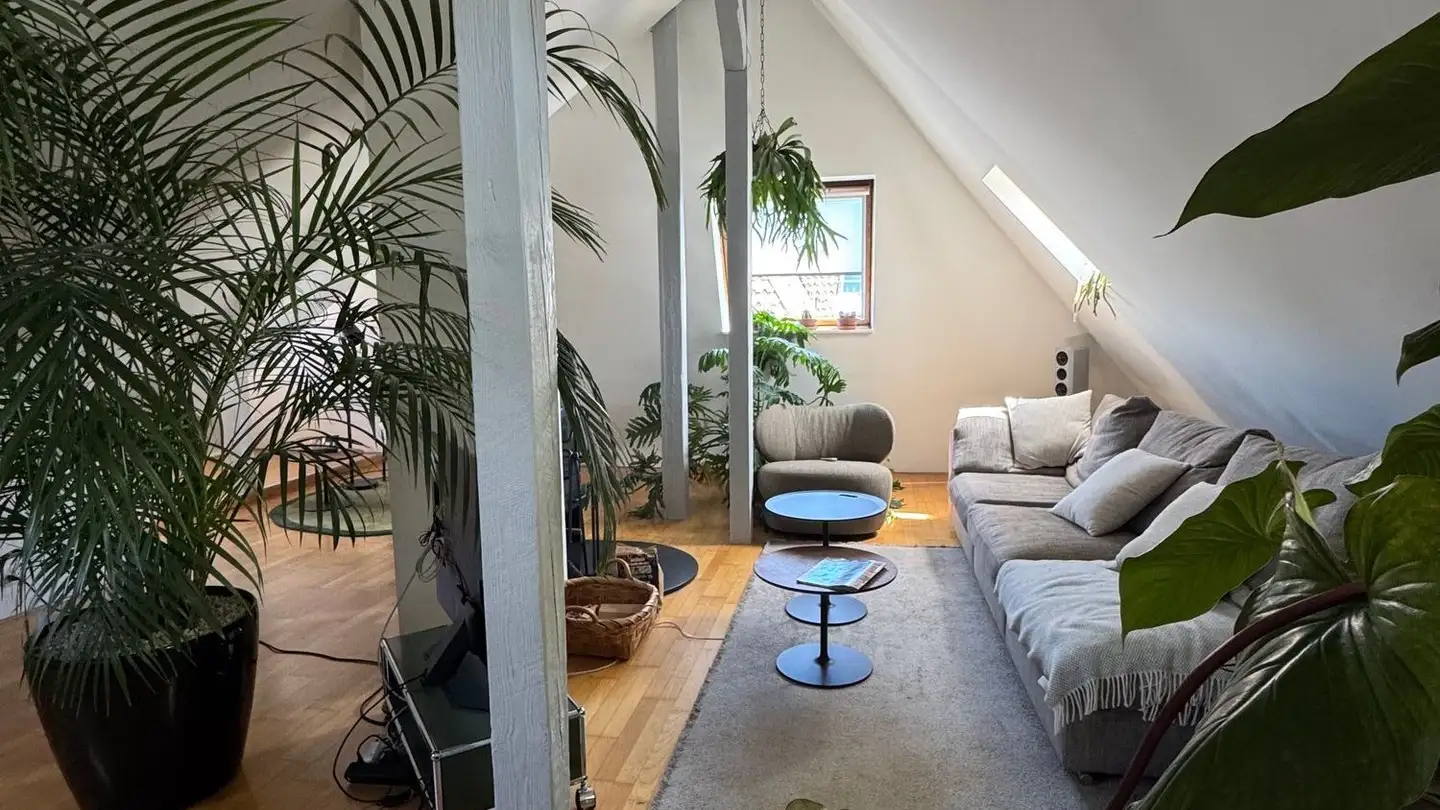 Möblierte Wohnung mieten - Schweizergasse 45, 4054 Basel