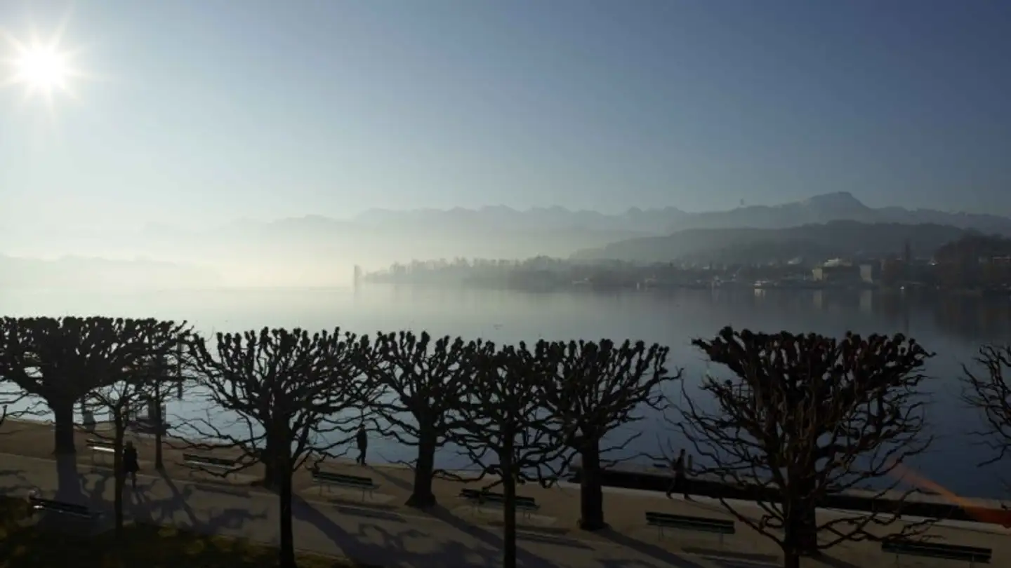 Spazio ufficio in affitto - Haldenstrasse 4, 6006 Luzern - Photo 3