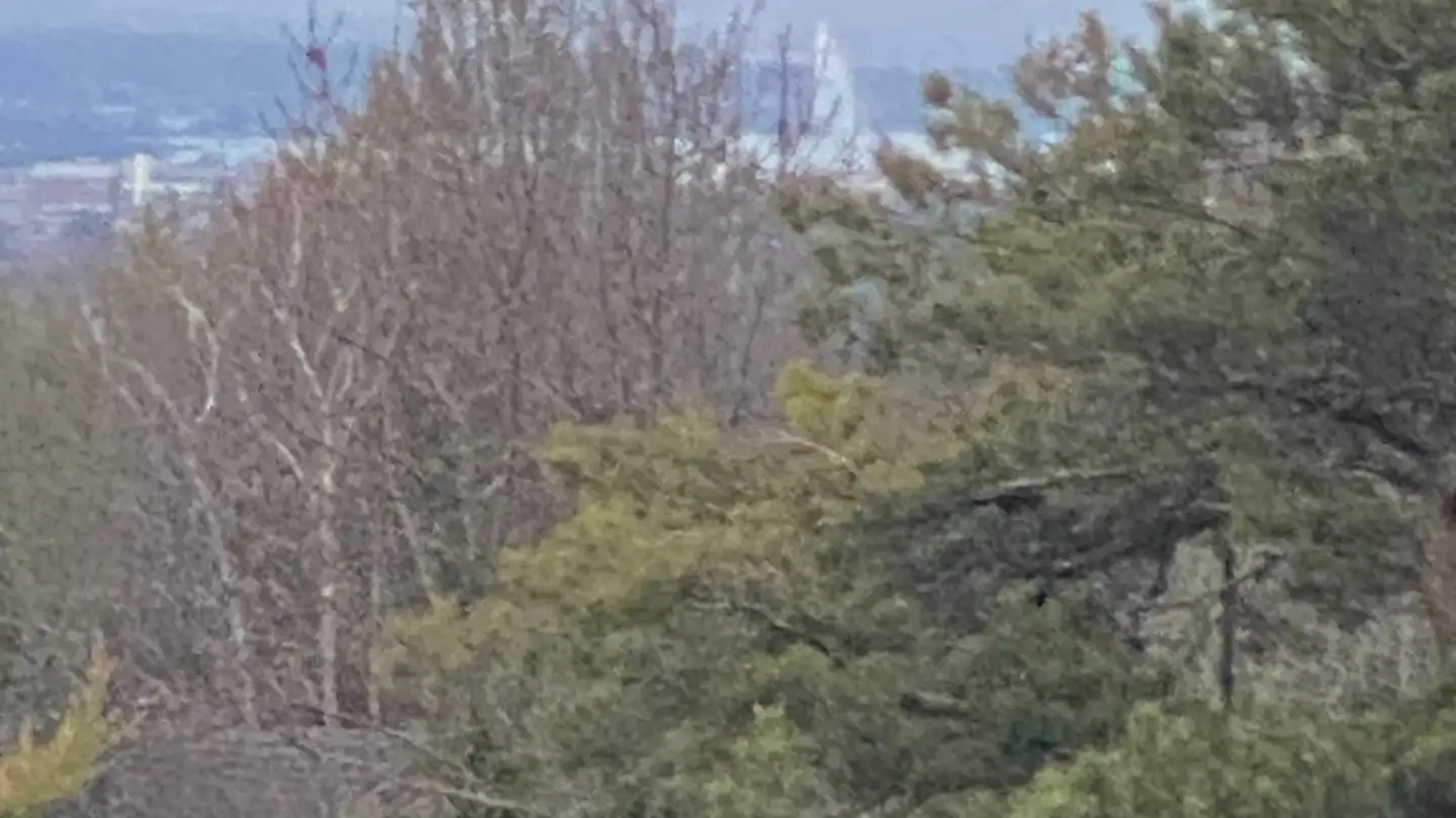 Appartement à vendre - 7416 Almens - Photo 2