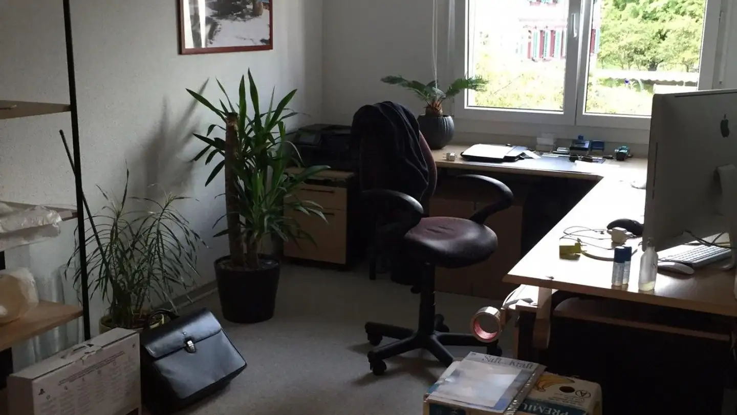 Appartement à louer - Alte Landstrasse 18b, 8804 Au ZH - Photo 4