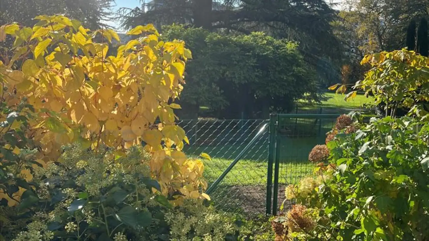 Appartamento in affitto - 1223 Cologny - Photo 4