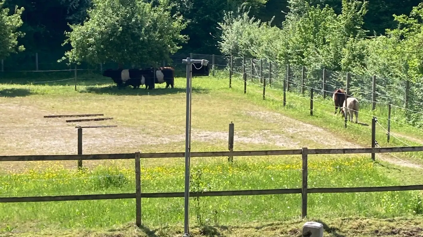 Maison individuelle à vendre - 4658 Däniken SO - Photo 2