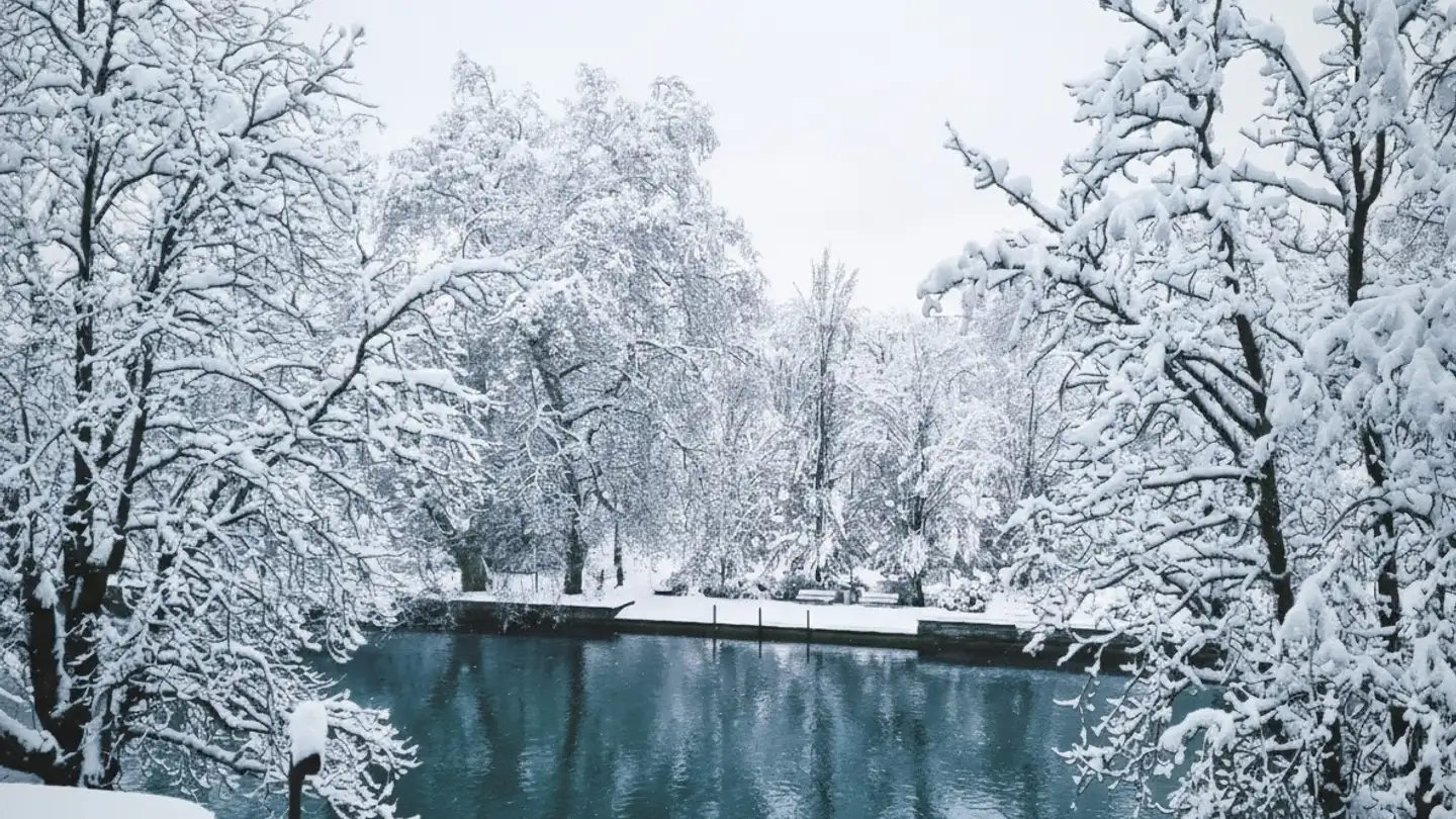 Single room for rent - Walchestrasse 25, 8006 Zürich - Photo 3