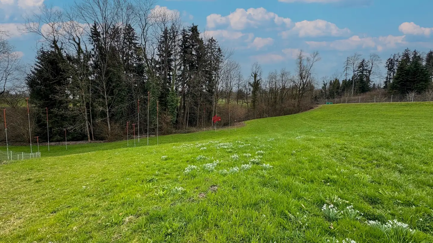 Constructible plot for sale - Landquart, 9305 Berg SG