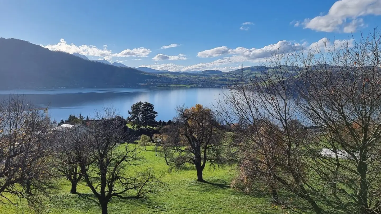 Terreno edificabile in vendita - 6318 Walchwil - Photo 4