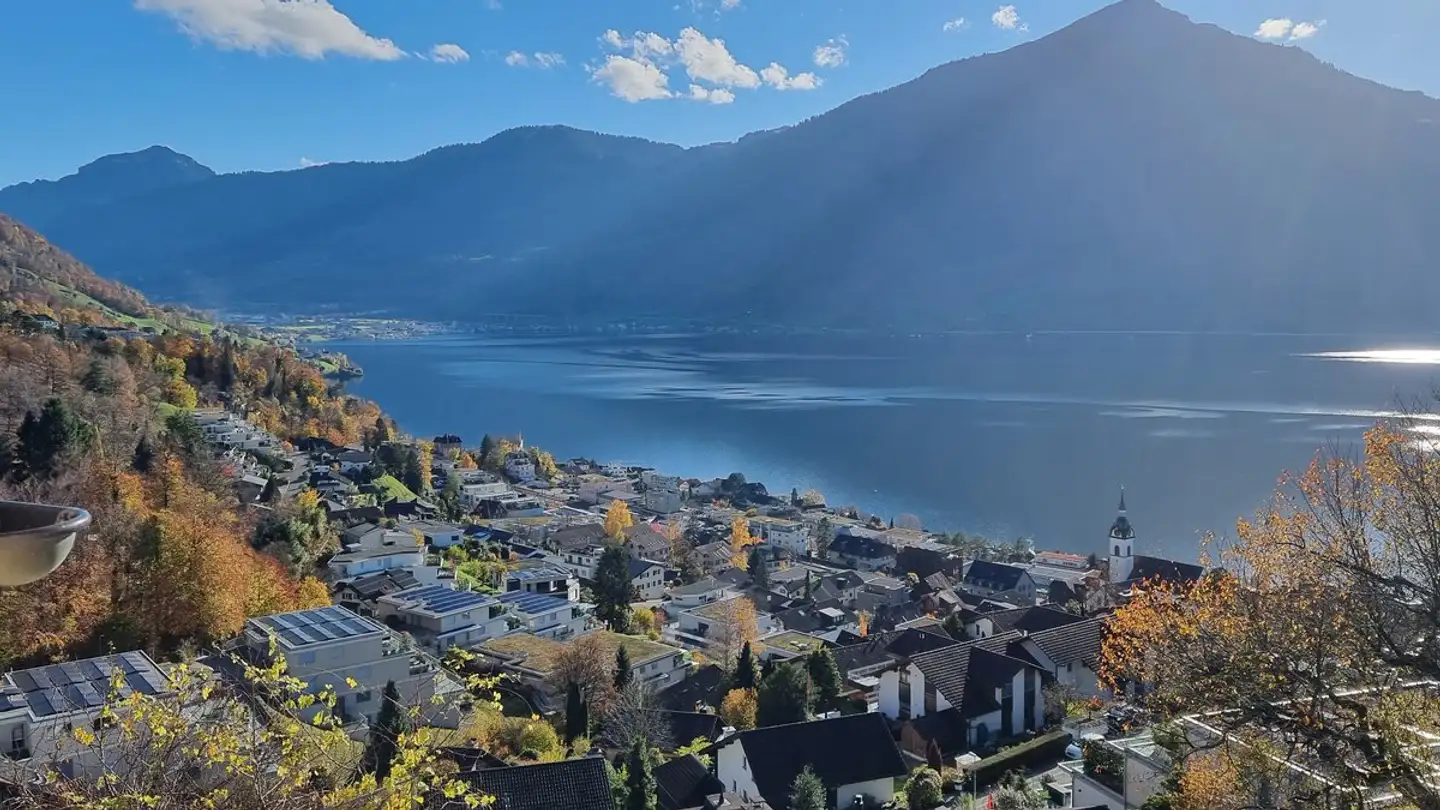 Terreno edificabile in vendita - 6318 Walchwil - Photo 3