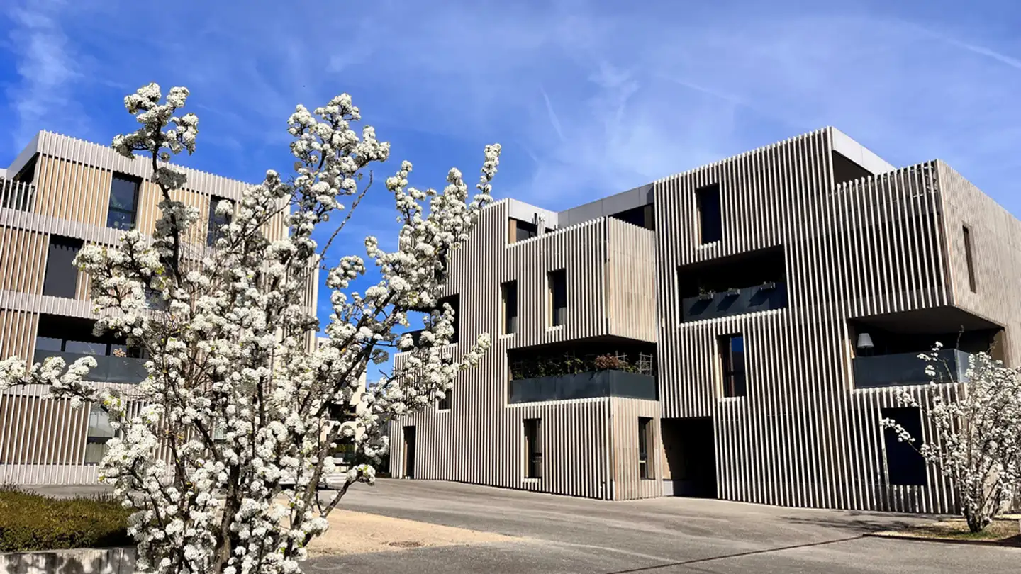 Wohnung mieten - Rue Du Grand Pré 17, 1299 Crans-près-Céligny