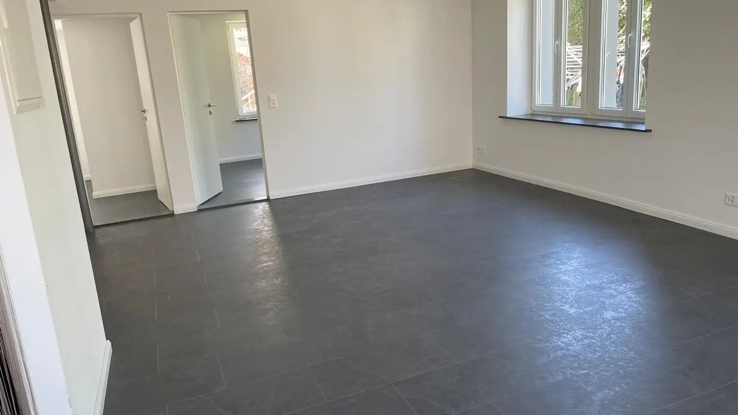 Appartamento in affitto - 8932 Mettmenstetten - Foto 4