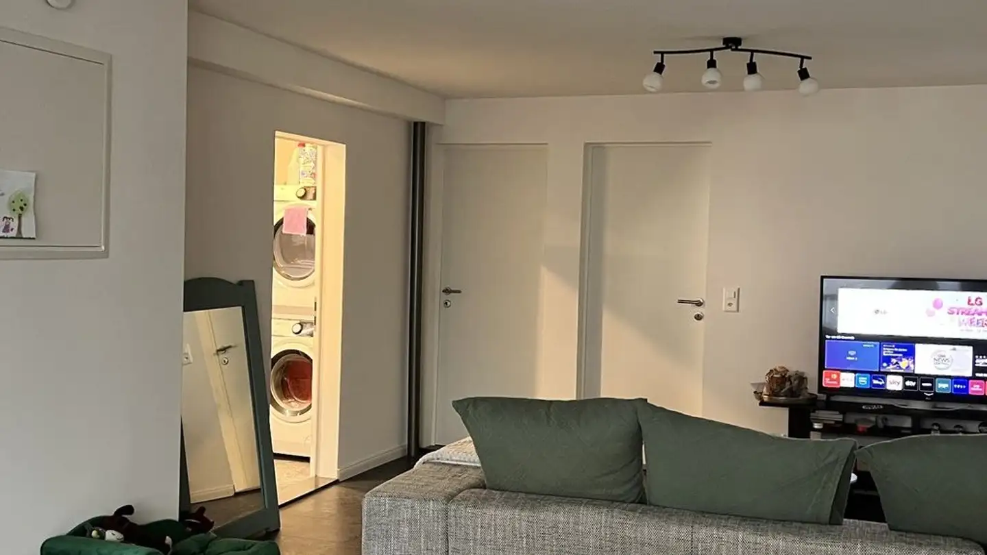 Appartamento in affitto - 8932 Mettmenstetten