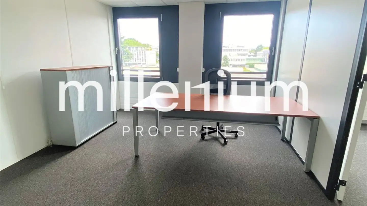 Spazio ufficio in affitto - 1217 Meyrin - Photo 3