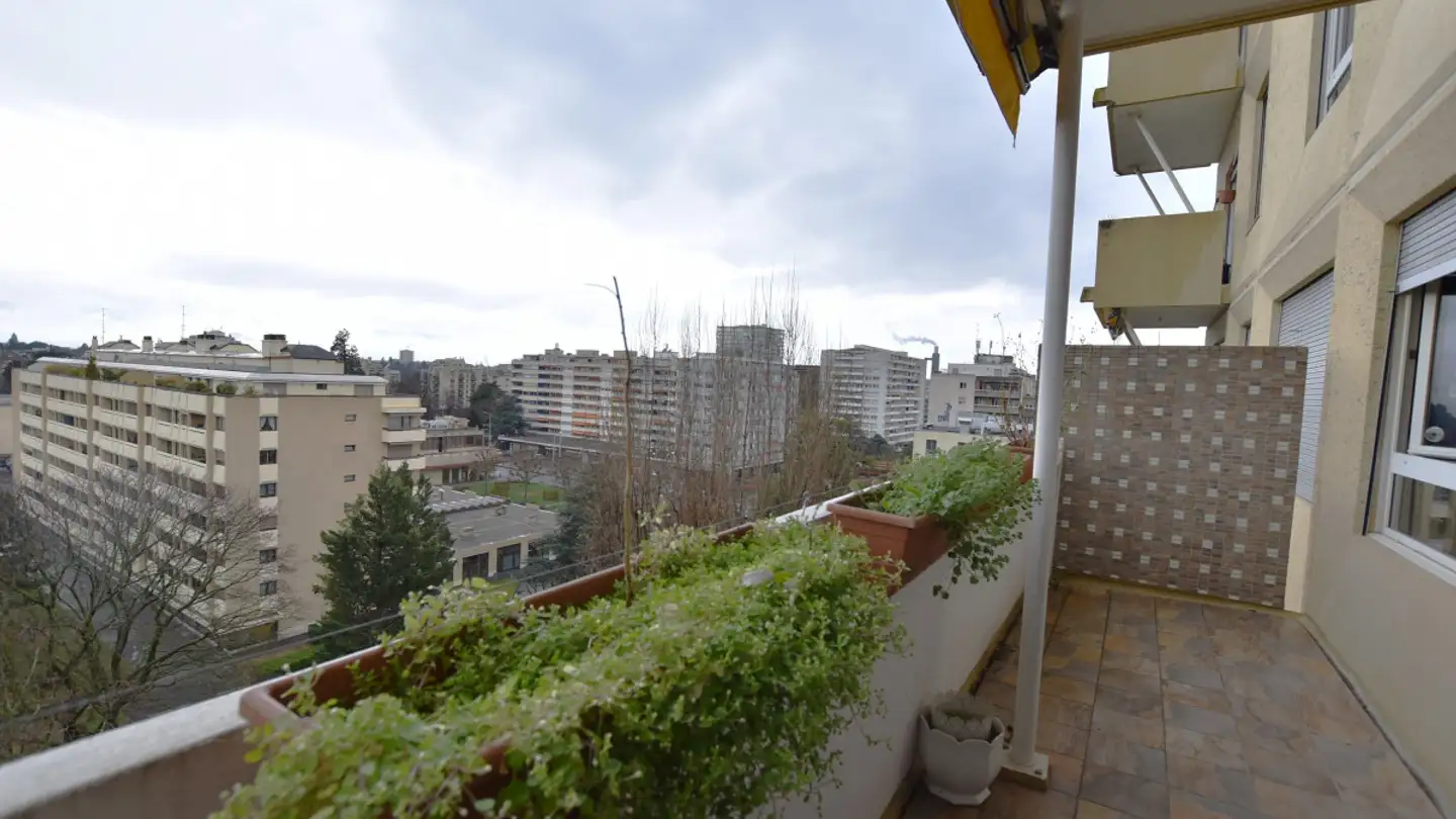 Appartement à louer - 1226 Thônex - Photo 2