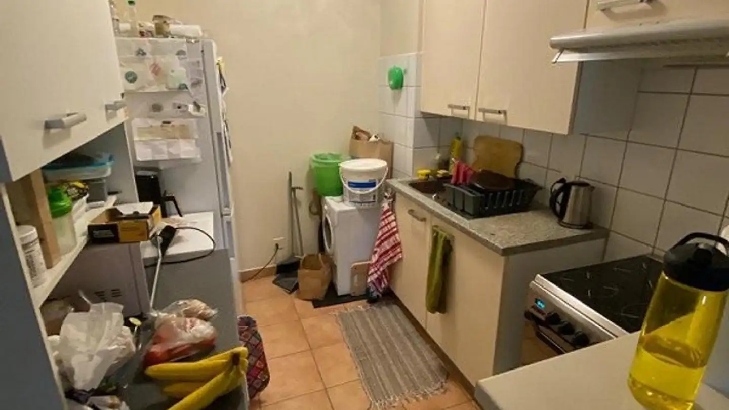 Apartment for rent - Chemin De-Maisonneuve 12a, 1219 Châtelaine - Photo 4
