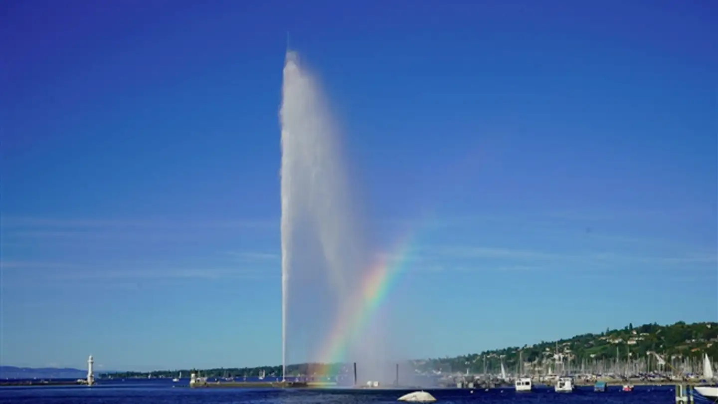 Wohnung mieten - 1207 Genève