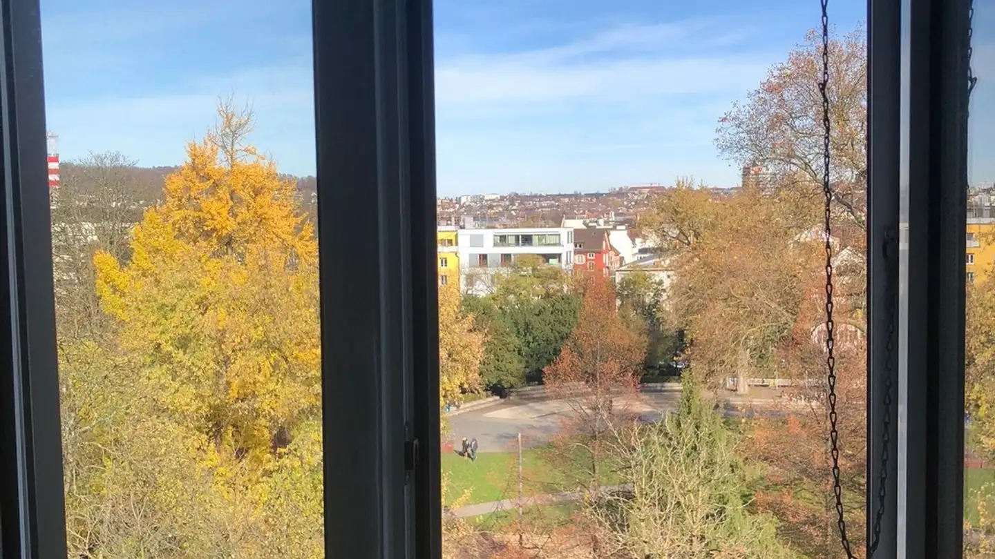 Stanza singola in affitto - Stauffacherstrasse 145, 8004 Zürich - Photo 4