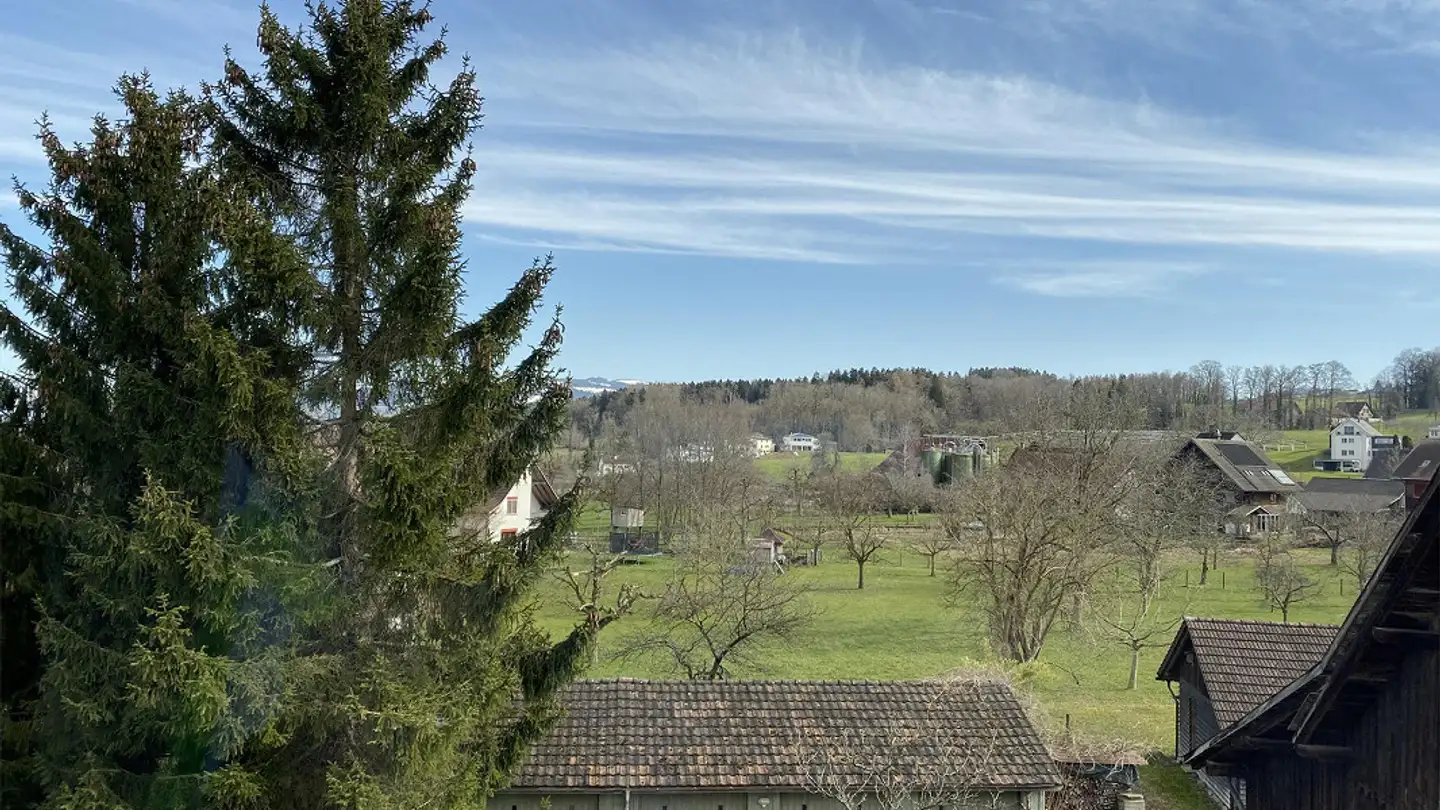 Wohnung mieten - St. Gallerstrasse 47, 9325 Roggwil TG