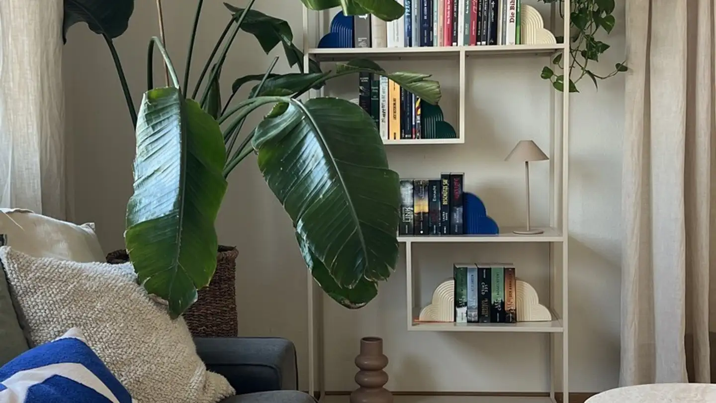 Stanza singola in affitto - 8640 Rapperswil SG - Photo 4