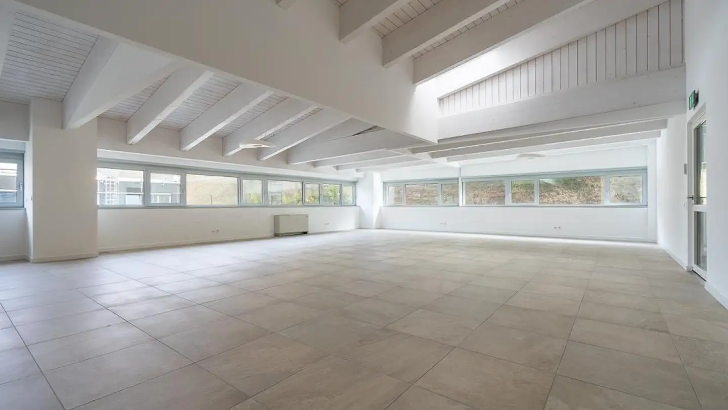 Commercial for sale - Via Stazione 18c, 6532 Castione - Photo 4