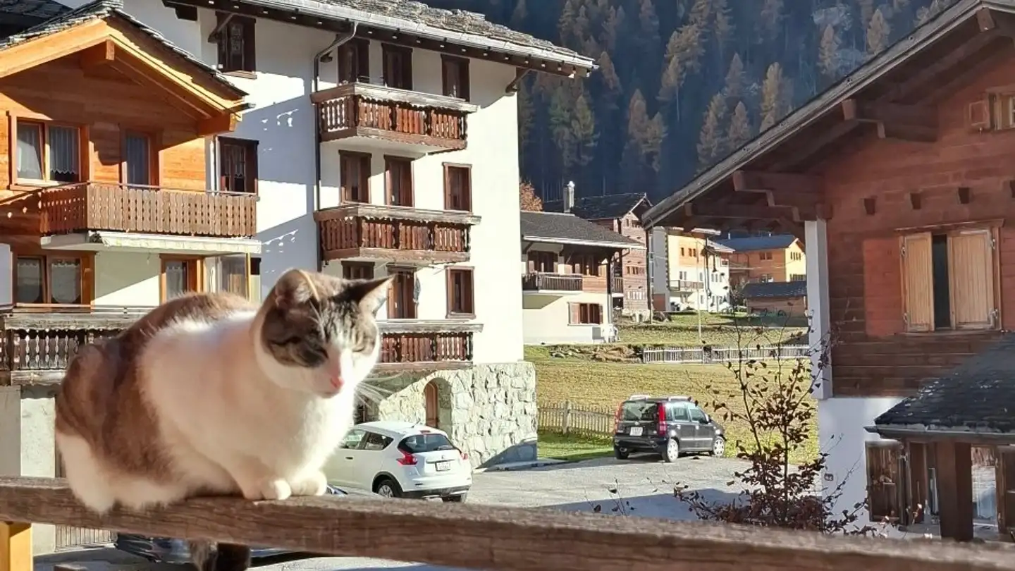 Single room for rent - Rue De La Chapelle 38, 1984 Les Haudères - Photo 2