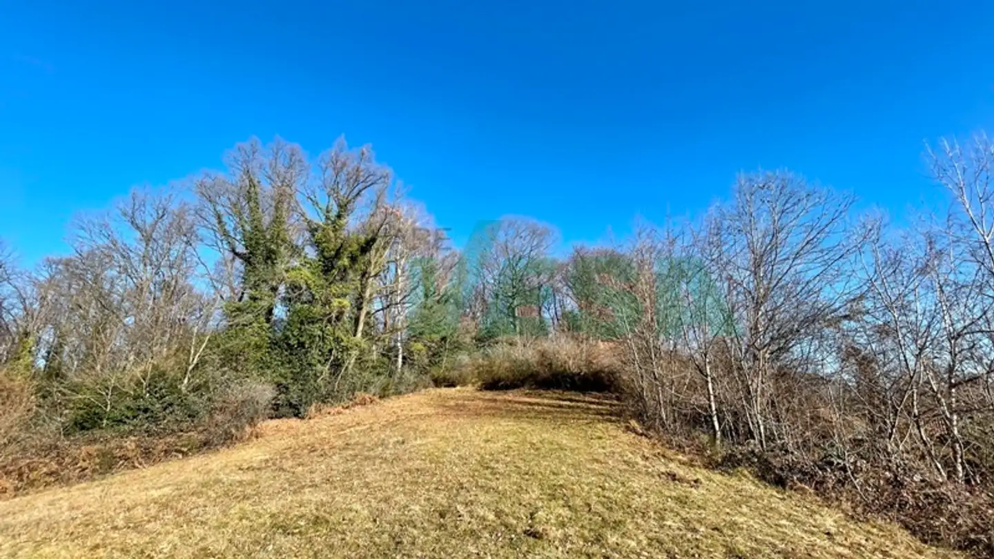 Terrain constructible à vendre - 6935 Bosco Luganese - Photo 4