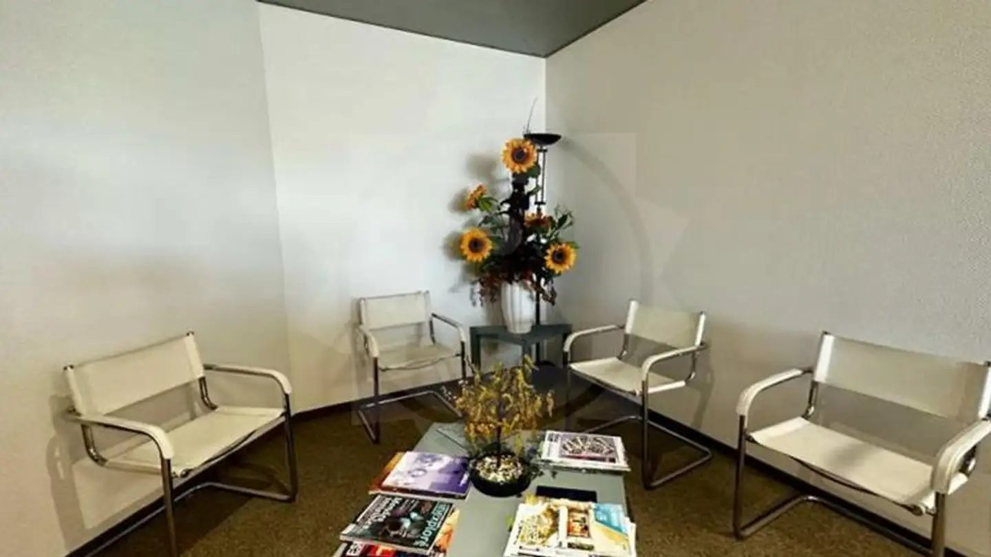 Office space for rent - Route De Saint-Cergue 297, 1260 Nyon