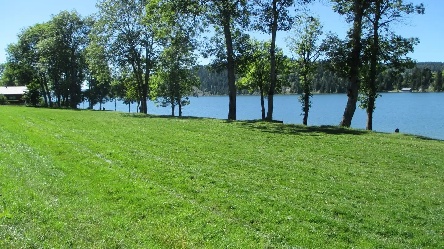 Constructible plot for sale - Rue Du Lac, 1342 Le Pont - Photo 2