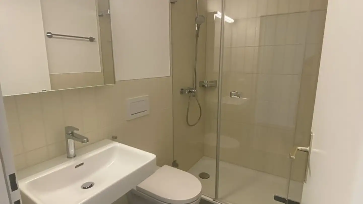 Appartement à louer - Haldenstrasse 10, 8320 Fehraltorf - Photo 4