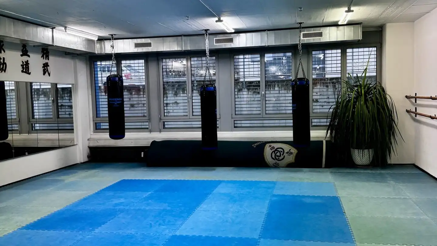 Commerciale in affitto - Badenerstrasse 569, 8048 Zürich - Foto 4