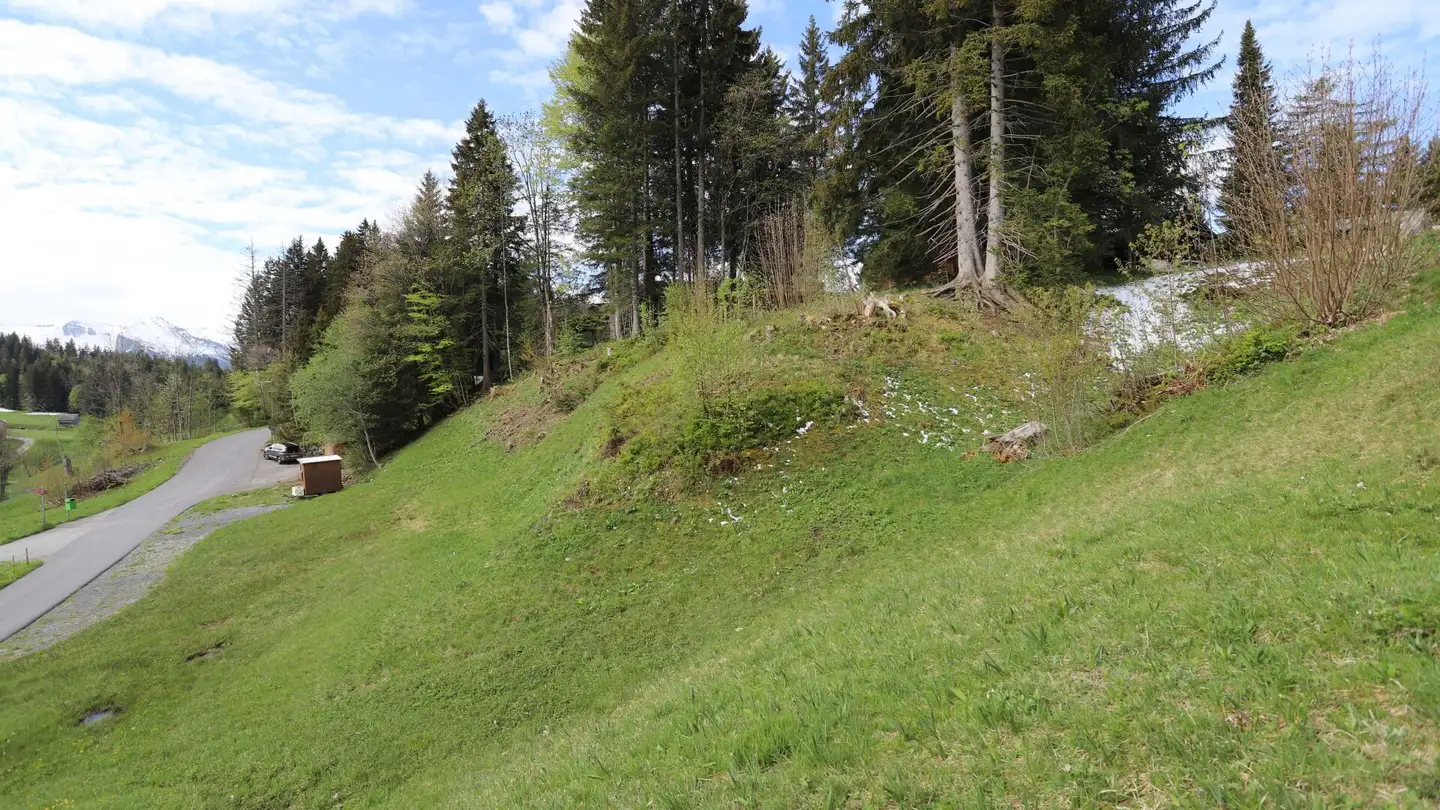 Terrain constructible à vendre - Leistkammstrasse, 8873 Amden