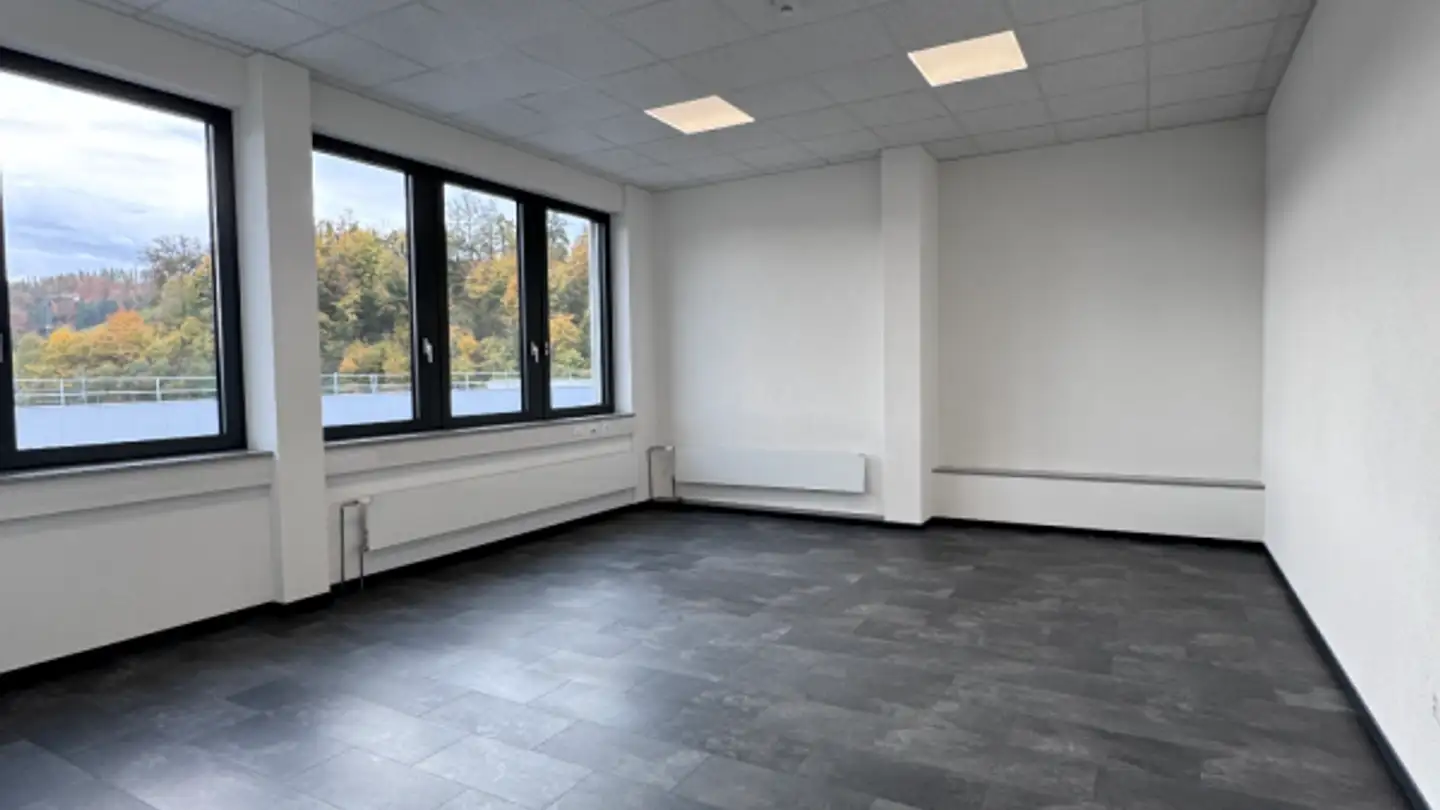 Commerciale in affitto - Industriestrasse 15, 4410 Liestal - Photo 2