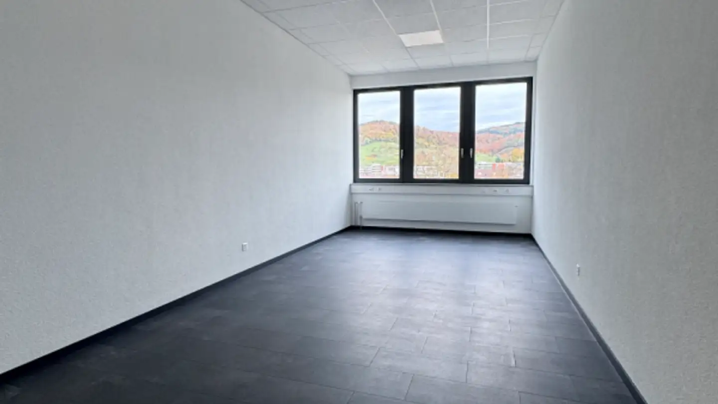 Commerciale in affitto - Industriestrasse 15, 4410 Liestal - Photo 4