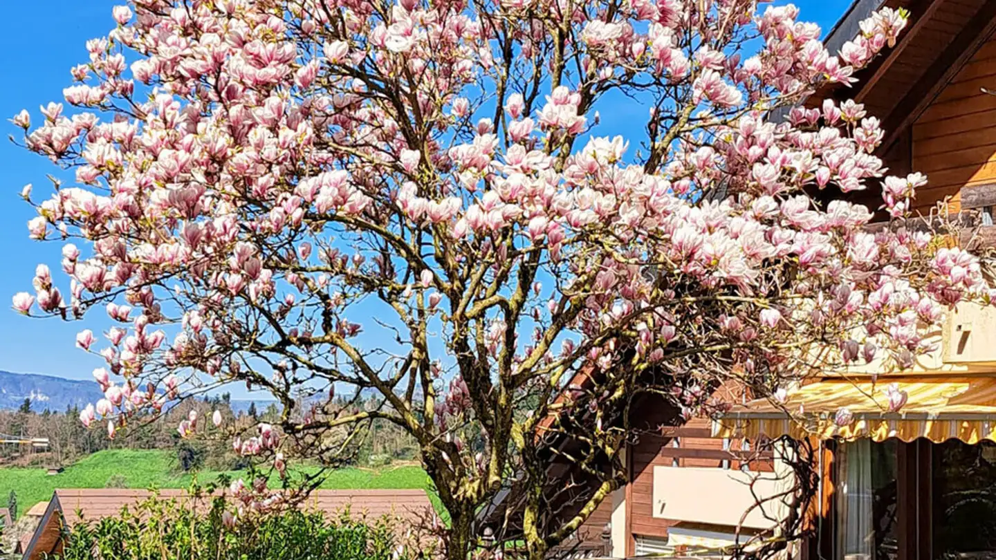 Single house for sale - Buechwaldstrasse, 3627 Heimberg - Photo 3