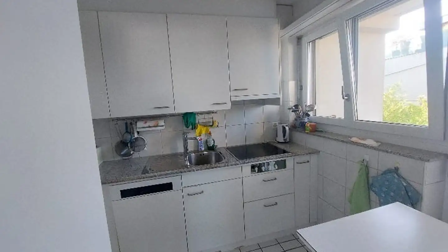 Single room for rent - Alte Landstrasse 191a, 8800 Thalwil