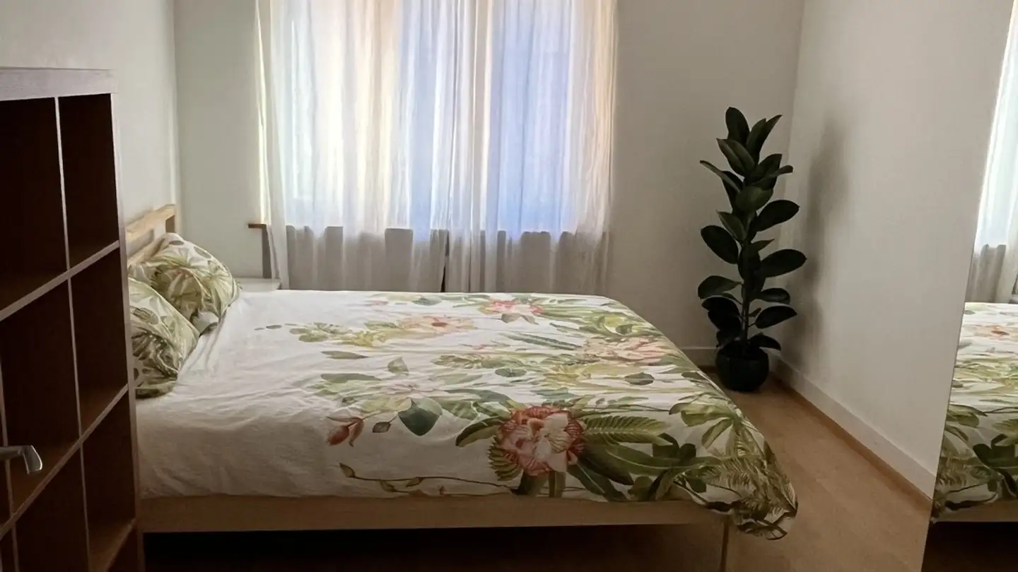 Single room for rent - Rebgasse 5, 8004 Zürich