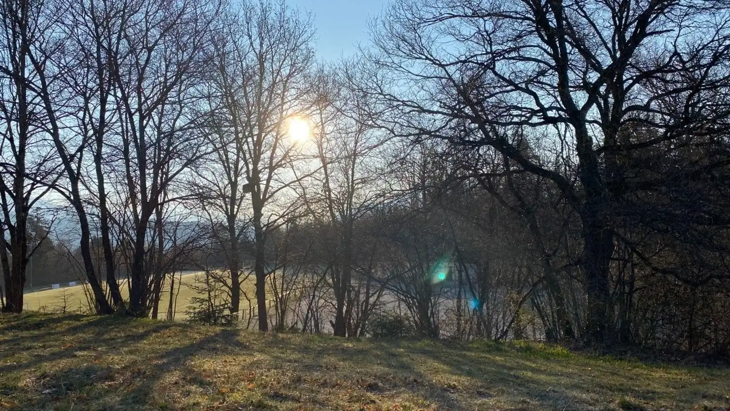 Constructible plot for sale - 1974 Arbaz