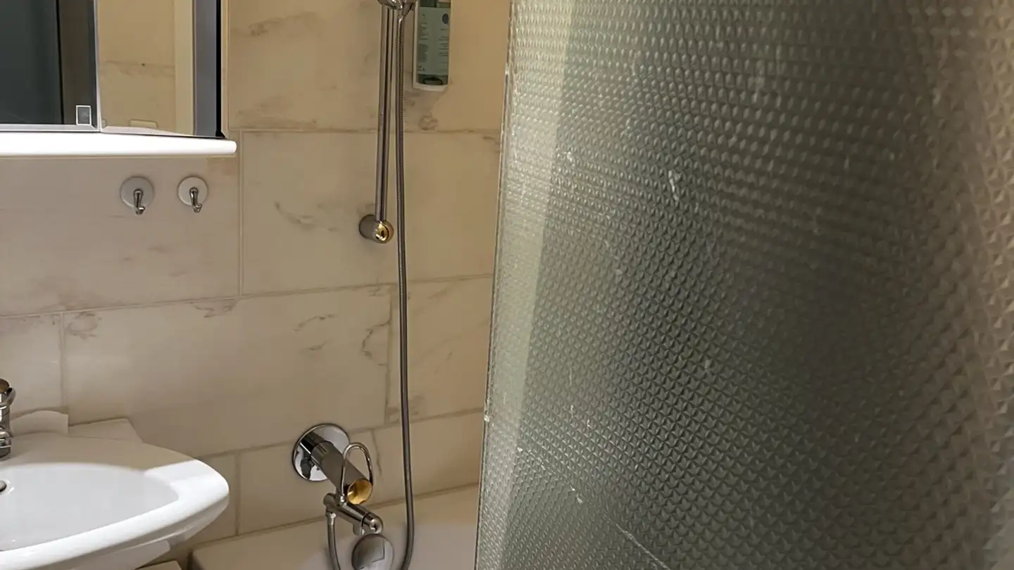 Appartamento in affitto - Zurlindenstrasse 9, 8003 Zürich