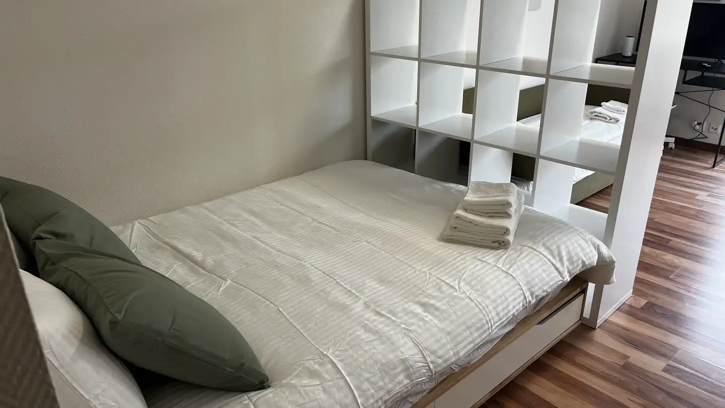 Appartamento in affitto - Zurlindenstrasse 9, 8003 Zürich - Foto 3