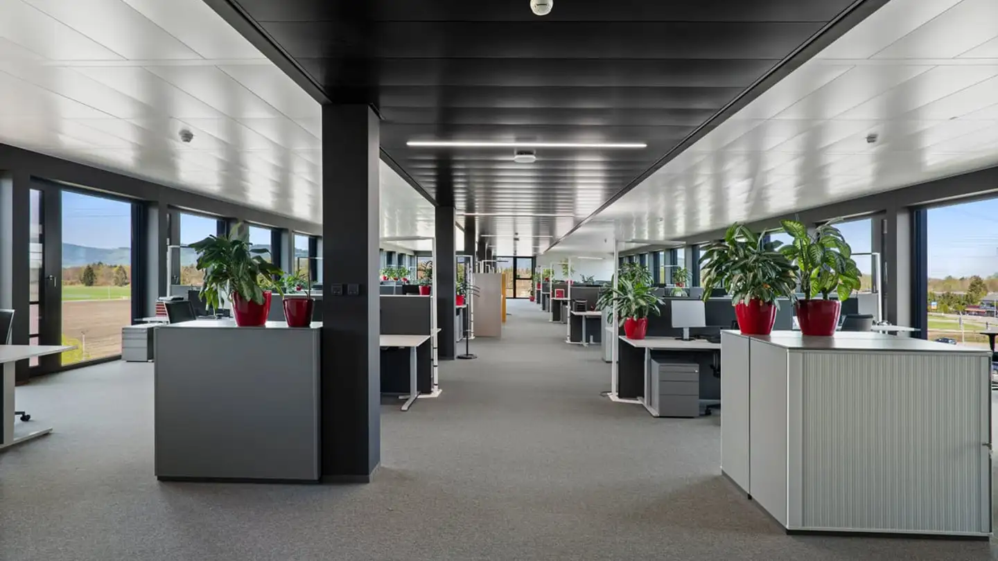 Office space for rent - 9444 Diepoldsau - Photo 2