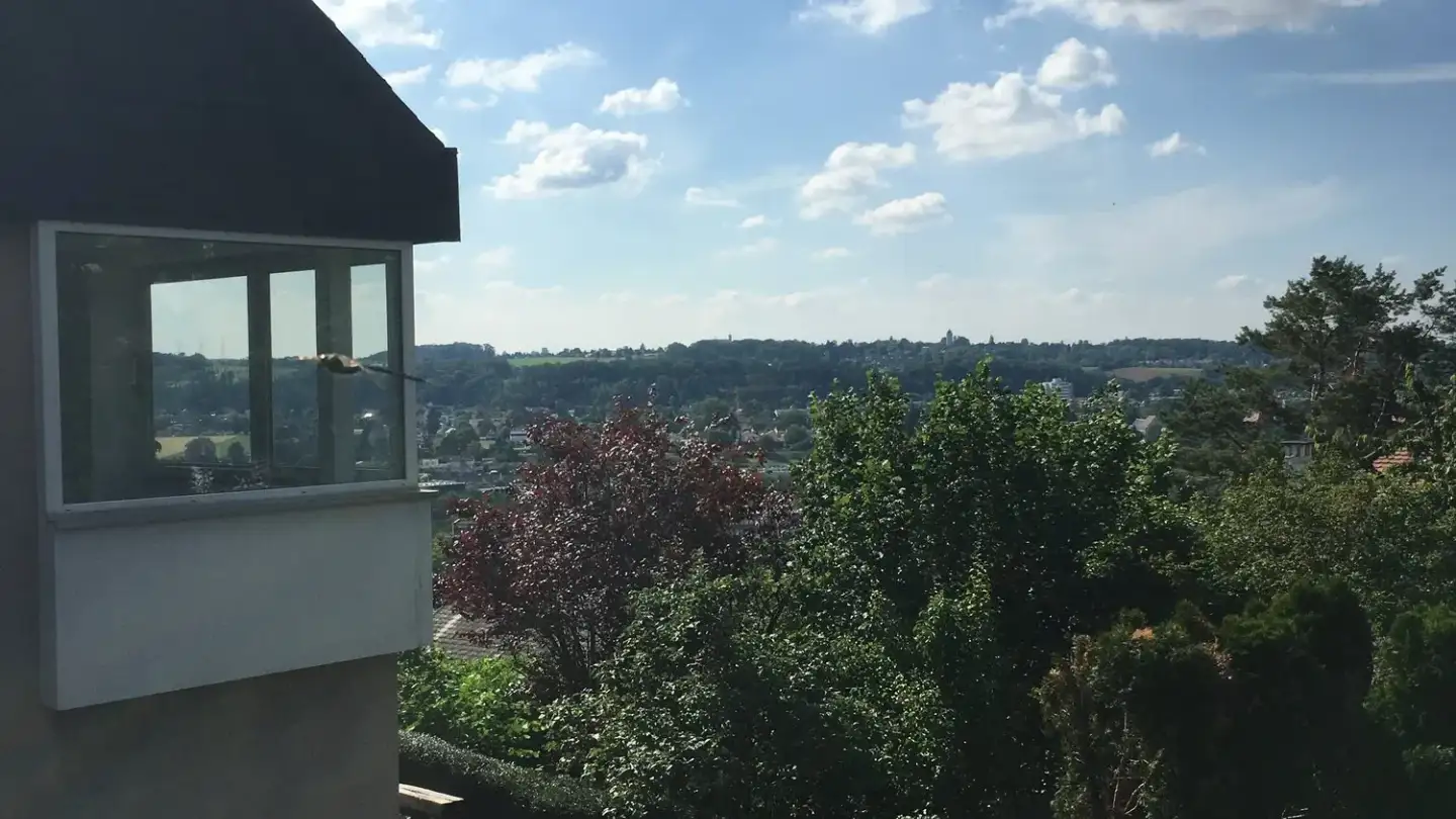 Semi-detached house for rent - Münchstrasse 32, 4142 Münchenstein - Photo 2