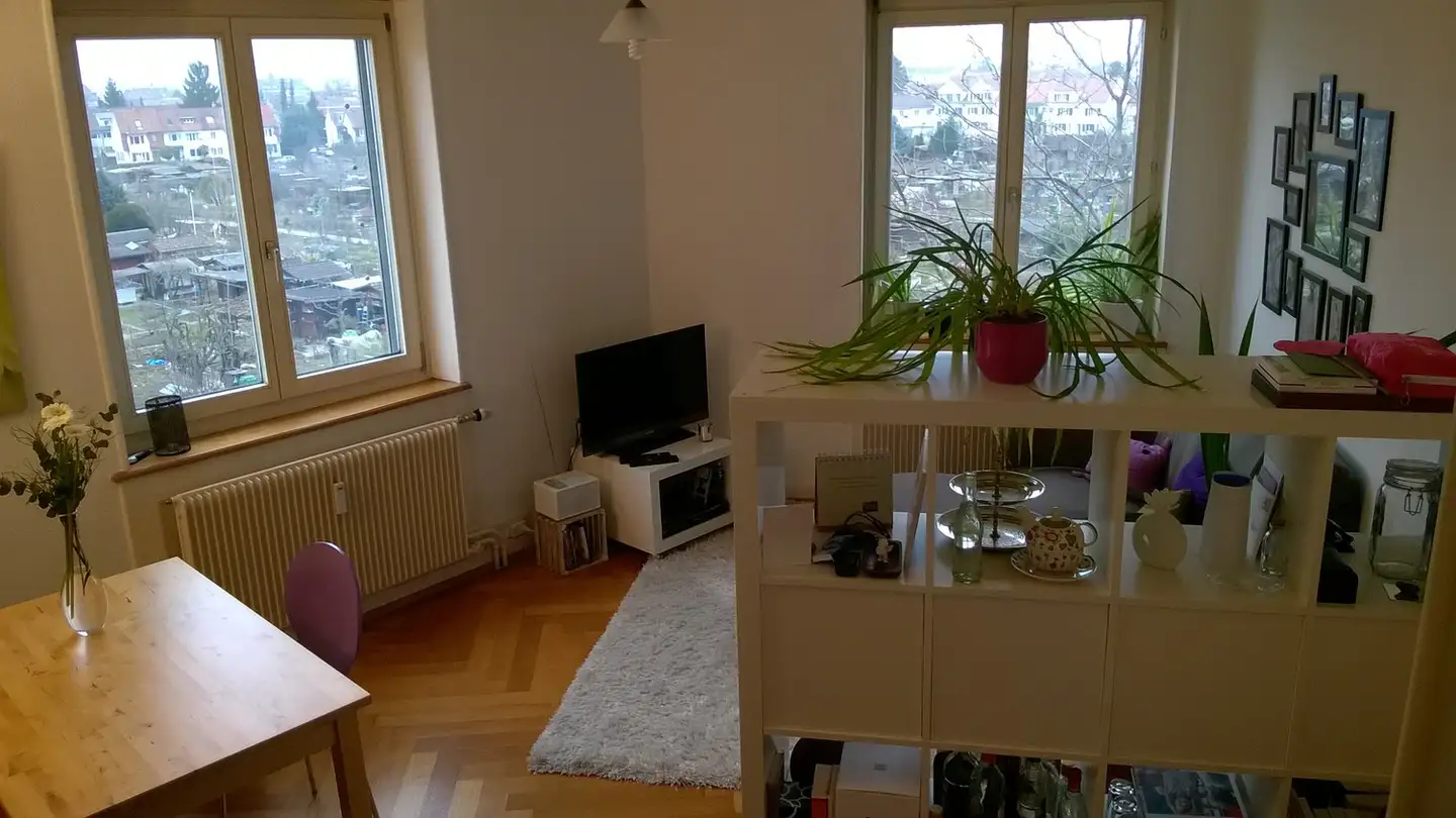 Appartamento in affitto - 4054 Basel