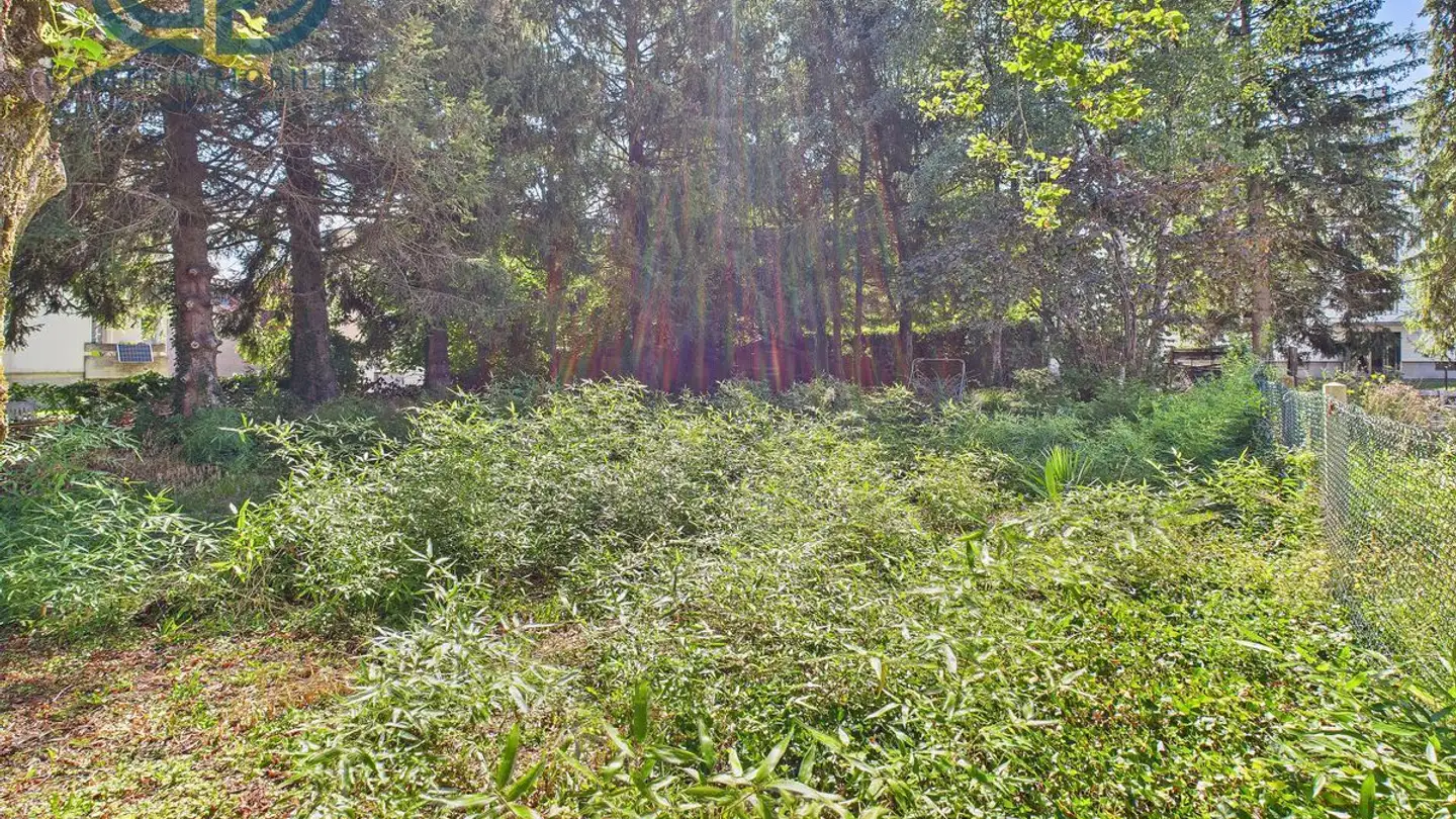 Terreno edificabile in vendita - Rue Du Champ Hulay 42, 2854 Bassecourt - Photo 4