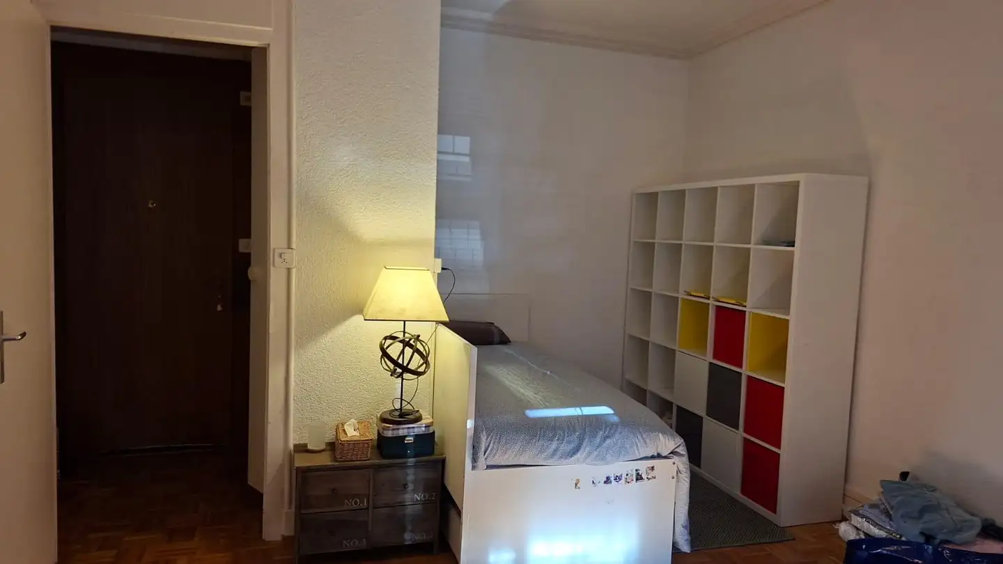 Appartamento in affitto - 1227 Carouge GE