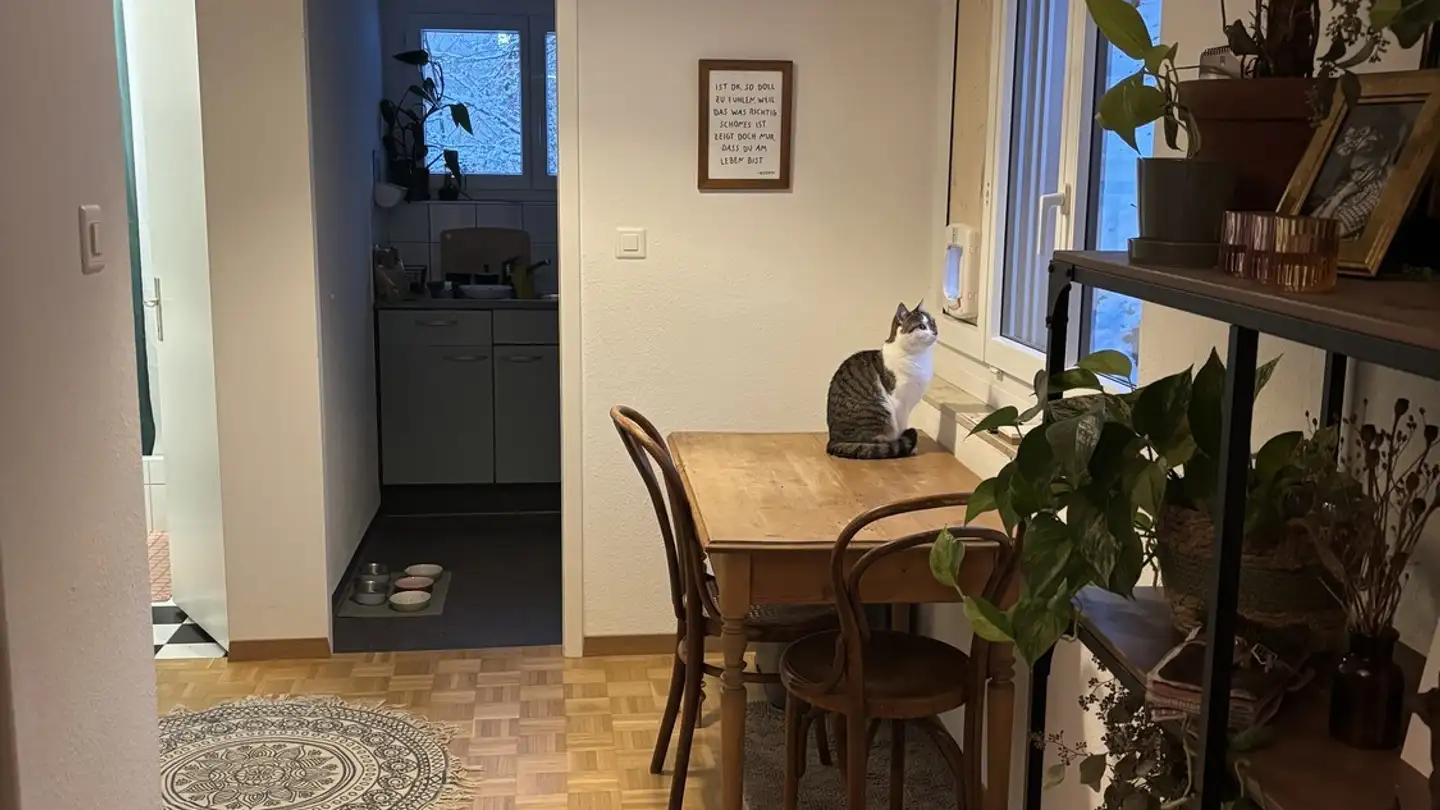 Apartment for rent - Dreilindenhang 16, 9000 St. Gallen - Photo 4