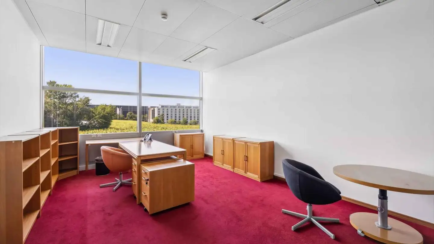 Spazio ufficio in affitto - Chemin Du Pavillon 5, 1218 Le Grand-Saconnex - Photo 4