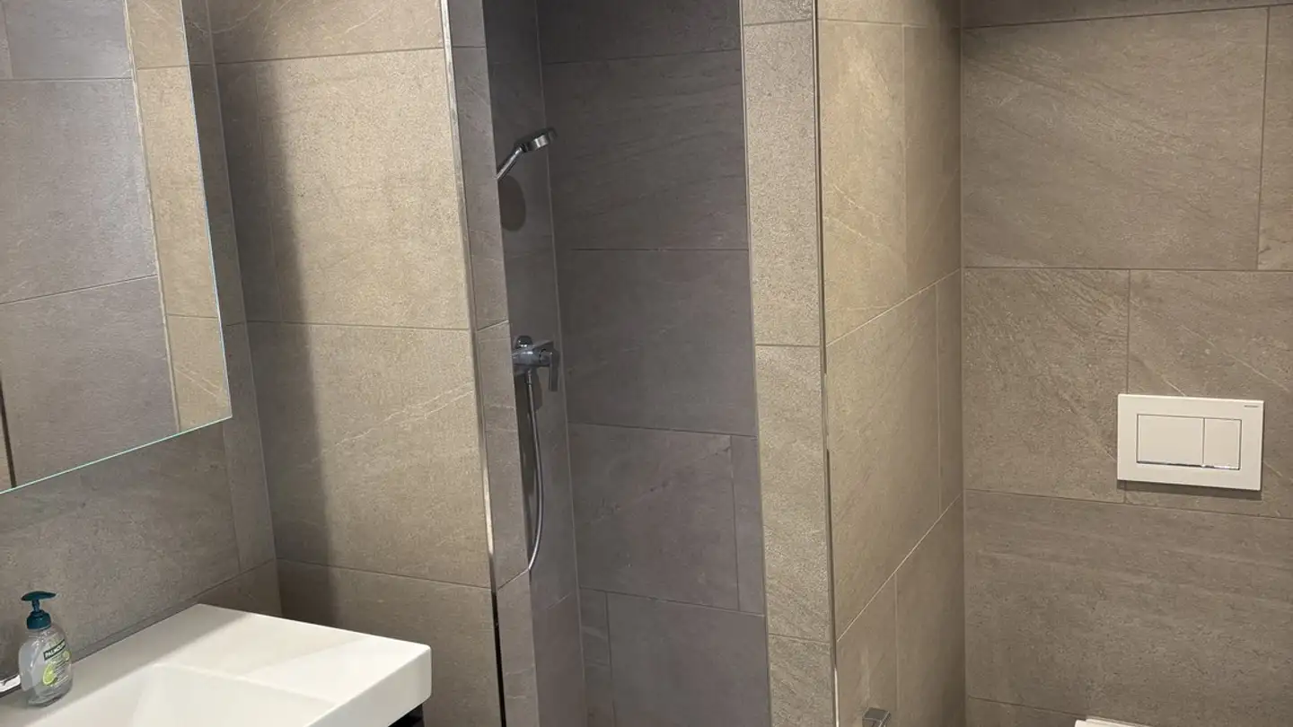 Appartamento in affitto - Triemlistrasse 95, 8047 Zürich - Foto 4