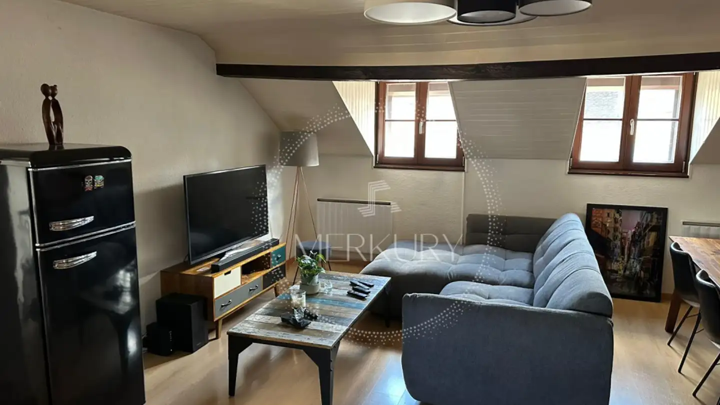 Appartamento in affitto - Rue Ancienne, 1227 Carouge GE