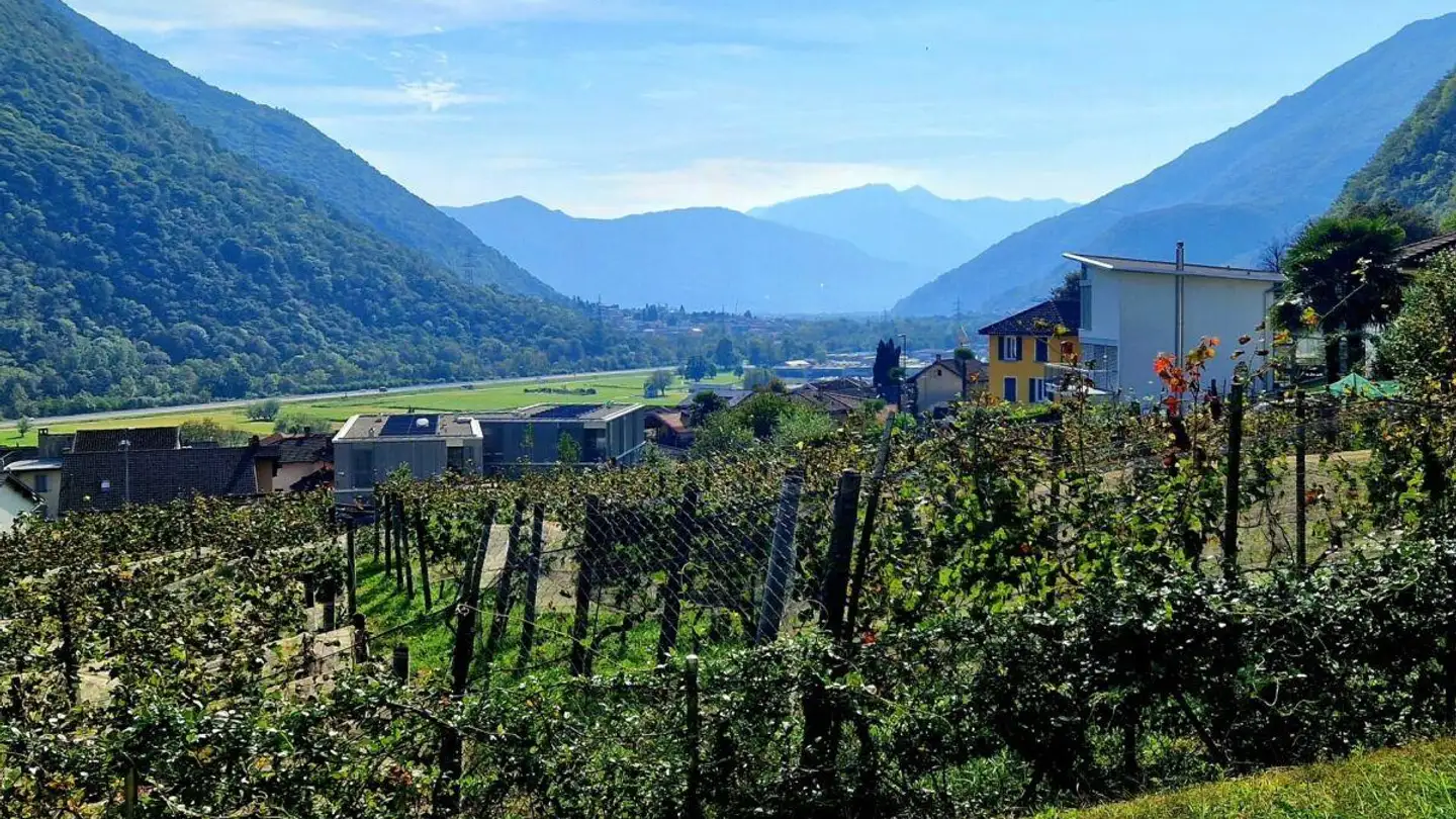 Appartement à vendre - 6533 Lumino