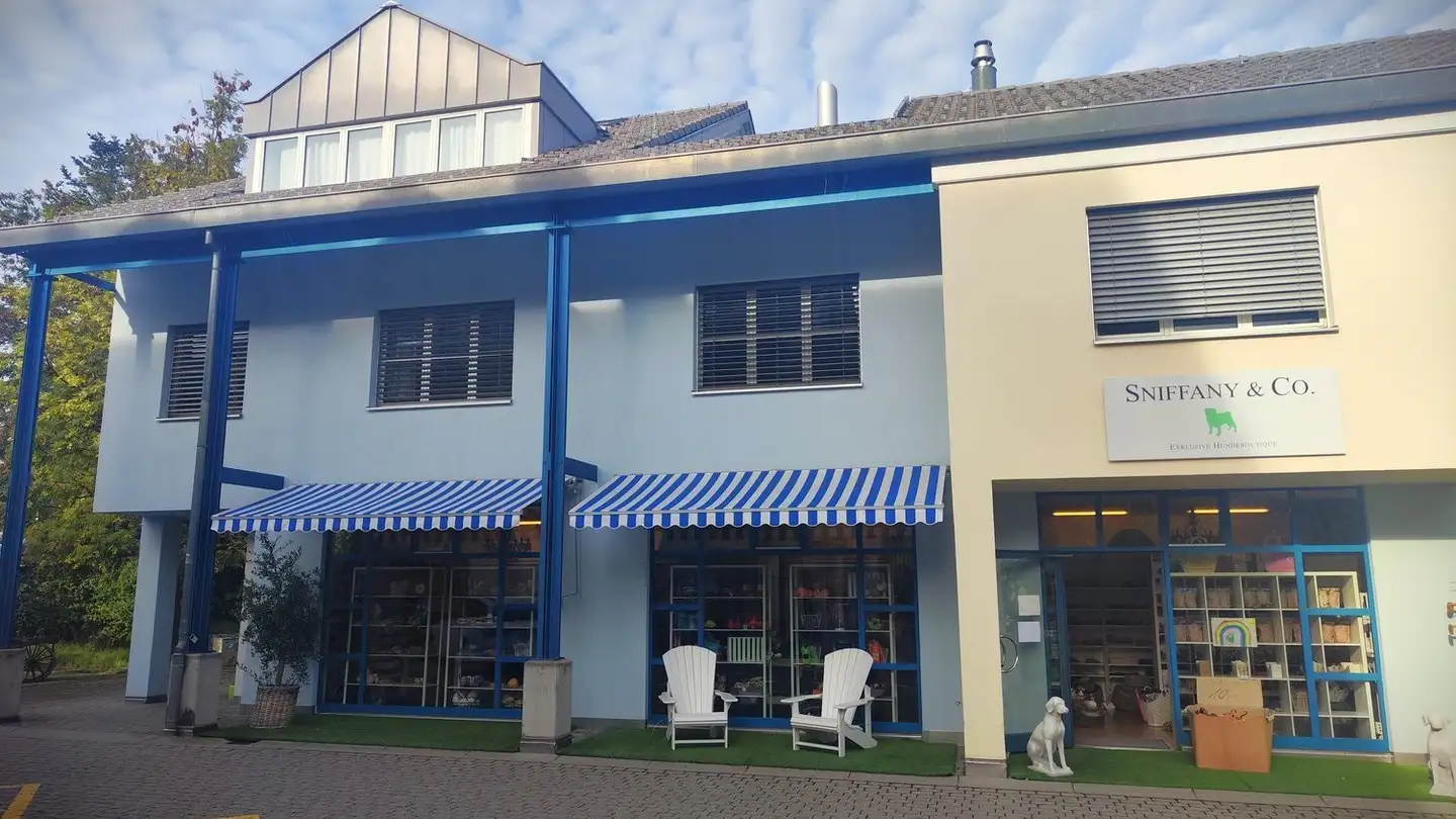 Negozio in affitto - Tüfweg 3, 8044 Gockhausen