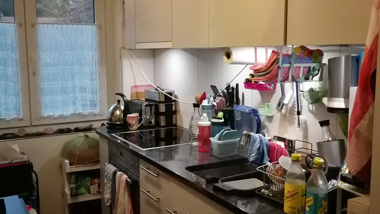 Appartamento in affitto - 8603 Schwerzenbach - Photo 3